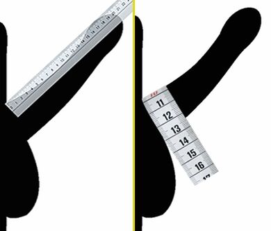 measuring penis diameter before enlargement